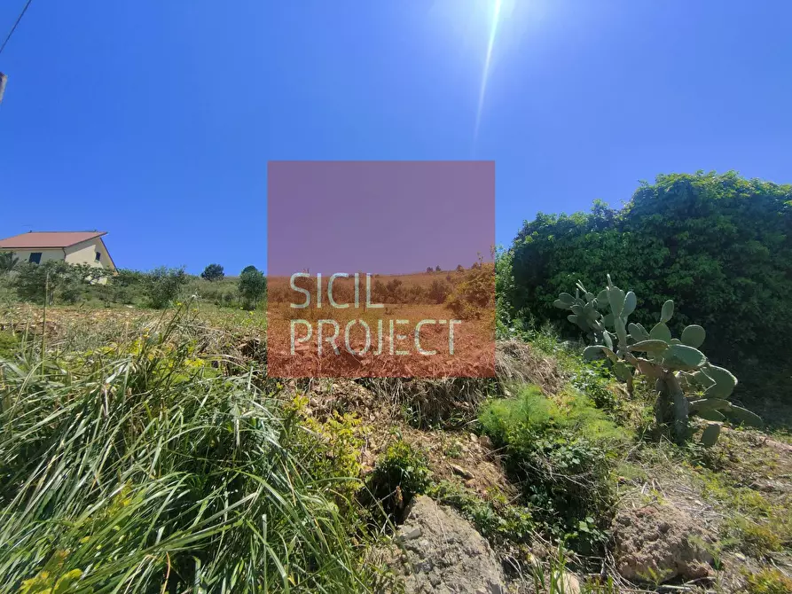 Immagine 8 di Rustico / casale in vendita  in monte bonifato a Alcamo