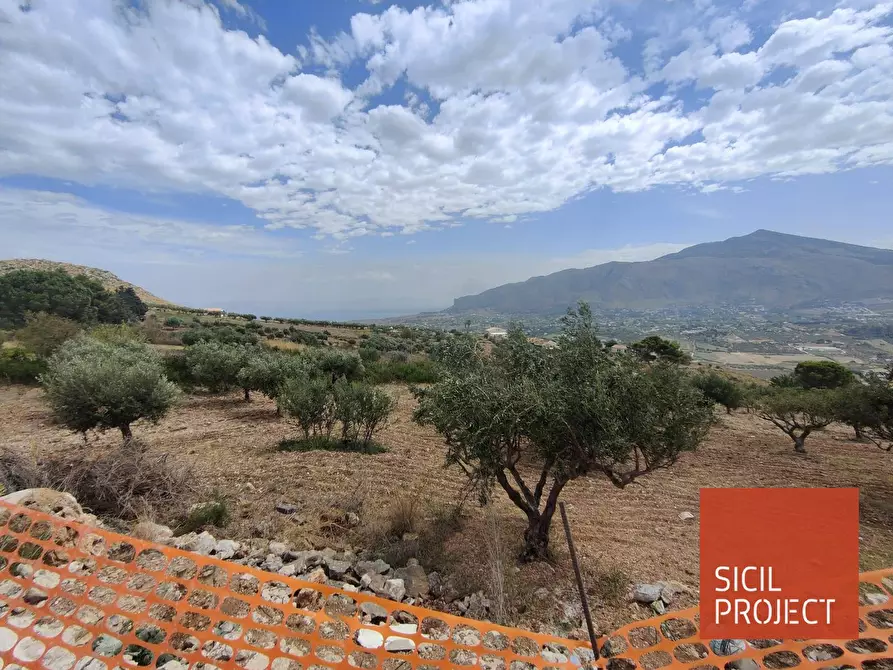 Immagine 14 di Villa in vendita  in contrada Sarmuci snc a Castellammare Del Golfo