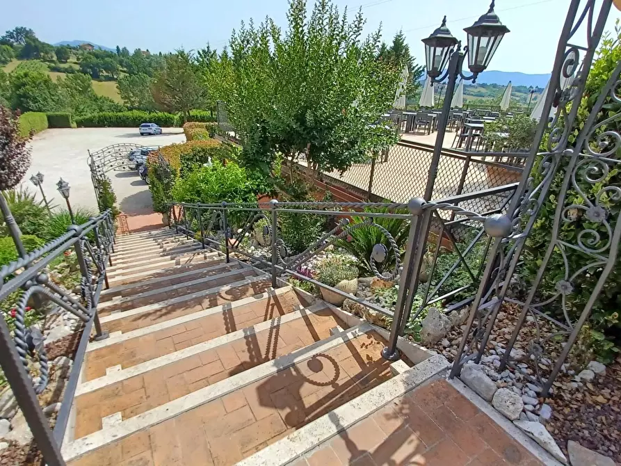 Immagine 6 di Locale commerciale in vendita  in via meringo alto a Ripi