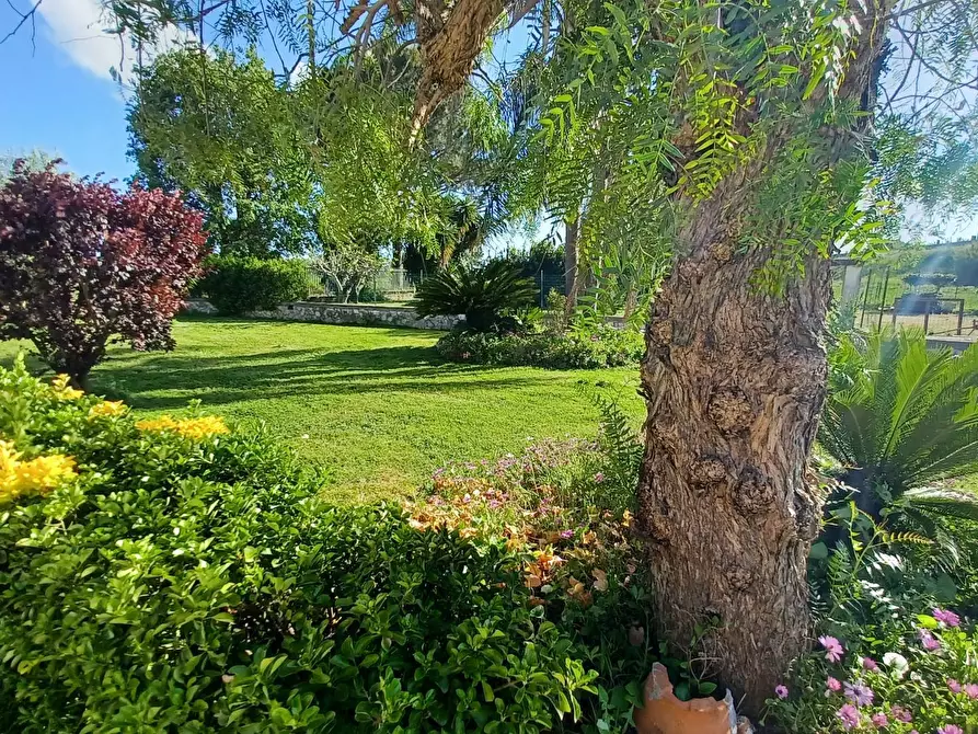 Immagine 3 di Casa semindipendente in vendita  in via appia a Terracina