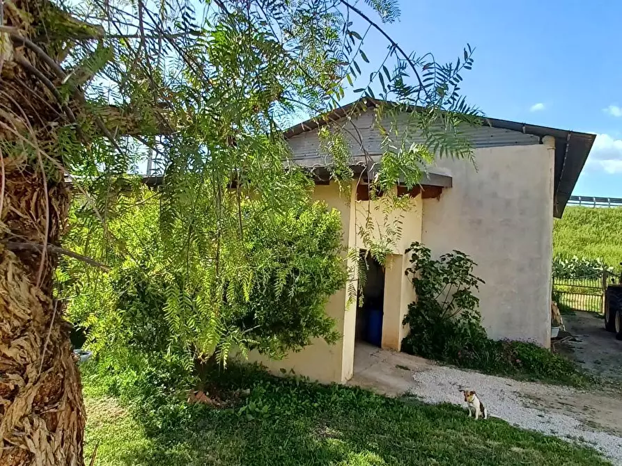 Immagine 36 di Casa semindipendente in vendita  in via appia a Terracina