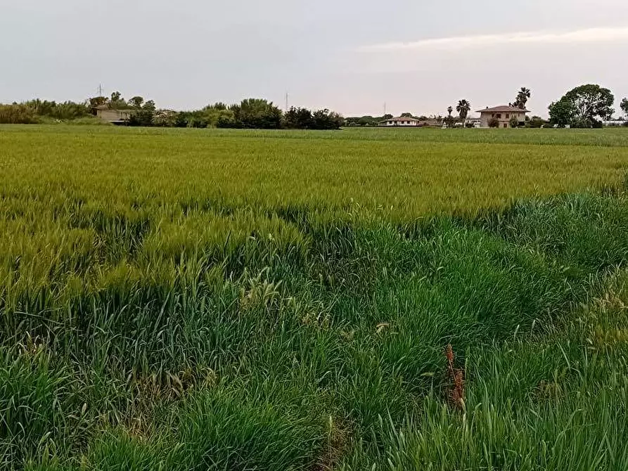 Immagine 1 di Terreno agricolo in vendita  in via appia km 95,313 a Terracina