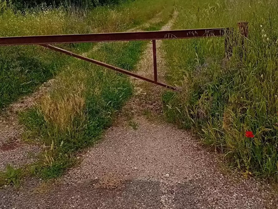 Immagine 2 di Terreno agricolo in vendita  in via appia km 95,313 a Terracina