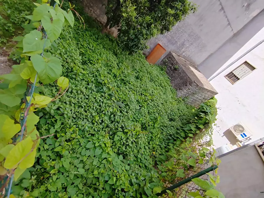 Immagine 17 di Appartamento in vendita  in Via Dante Alighieri a Bassiano