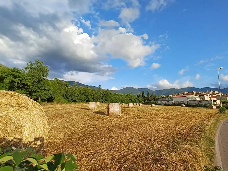 Immagine 2 di Terreno agricolo in vendita  in località Pantano a Amaseno