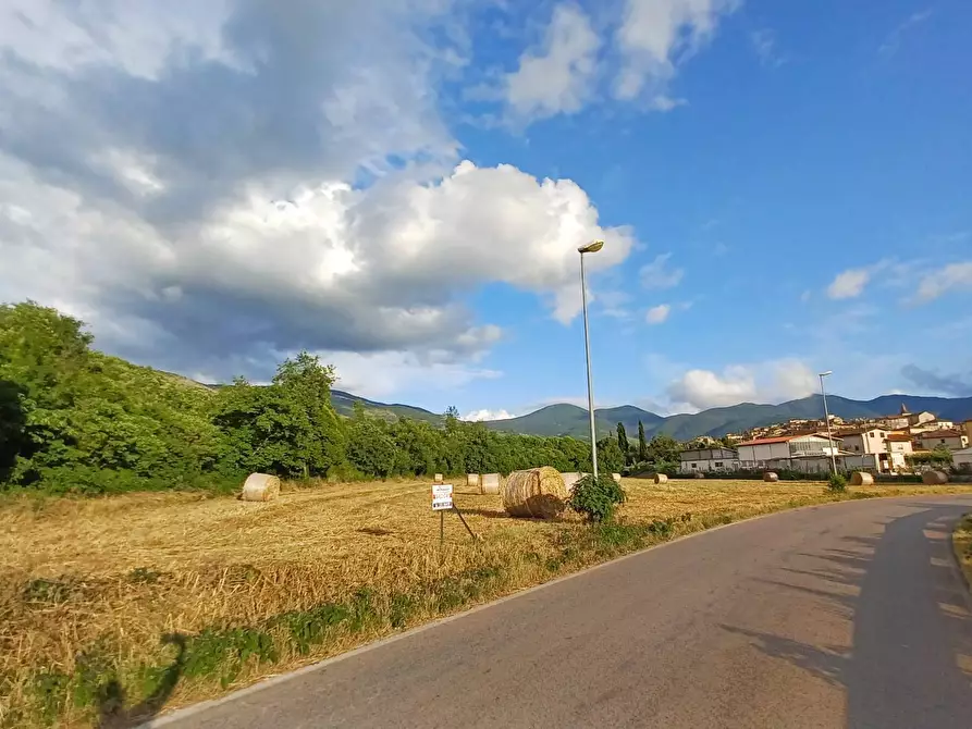 Immagine 3 di Terreno agricolo in vendita  in località Pantano a Amaseno