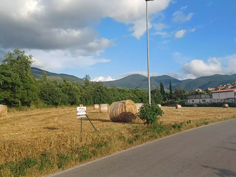 Immagine 4 di Terreno agricolo in vendita  in località Pantano a Amaseno