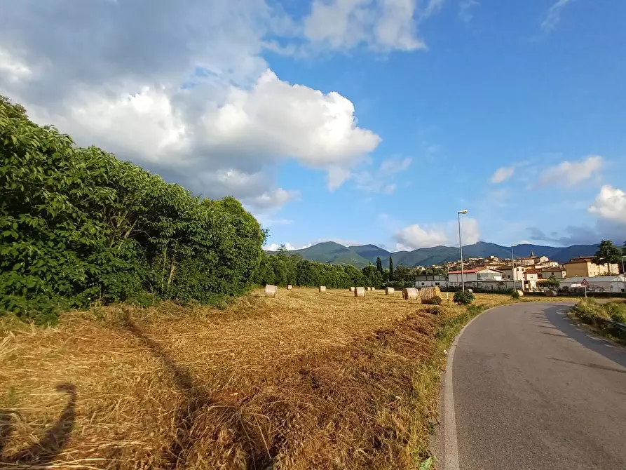 Immagine 5 di Terreno agricolo in vendita  in località Pantano a Amaseno