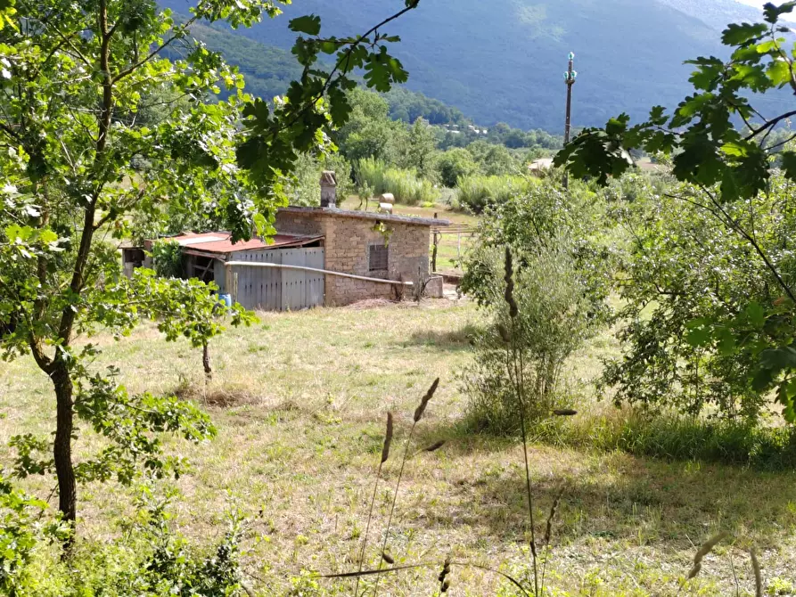 Immagine 1 di Agriturismo in vendita  in Via San Francesco a Arnara