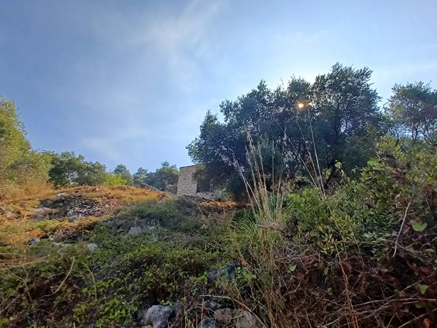 Immagine 1 di Terreno residenziale in vendita  in Via Pozzo Sant'Antonio a Terracina