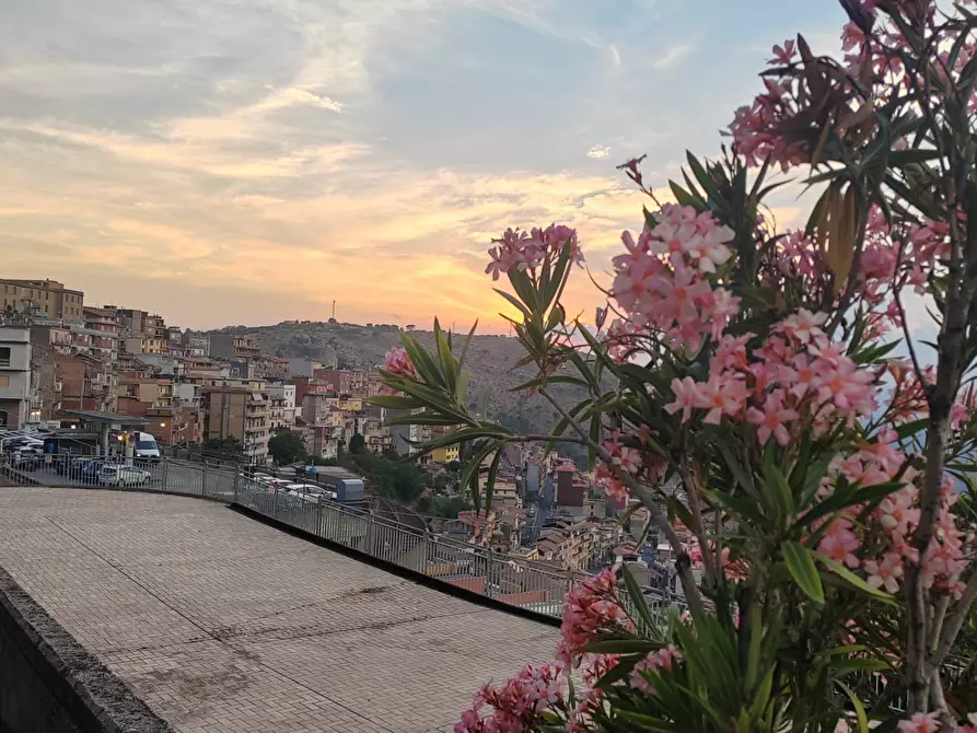 Immagine 13 di Appartamento in vendita  in Via Capitano Vincenzo Pellegrini 154 a Bassiano