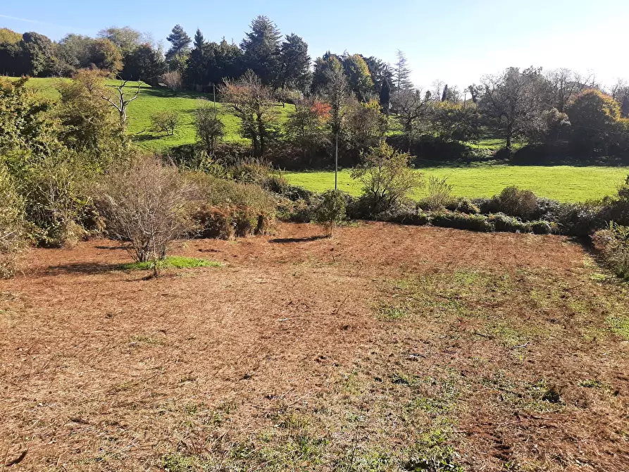 Immagine 1 di Terreno agricolo in vendita  in via prenestina antica a Fiuggi