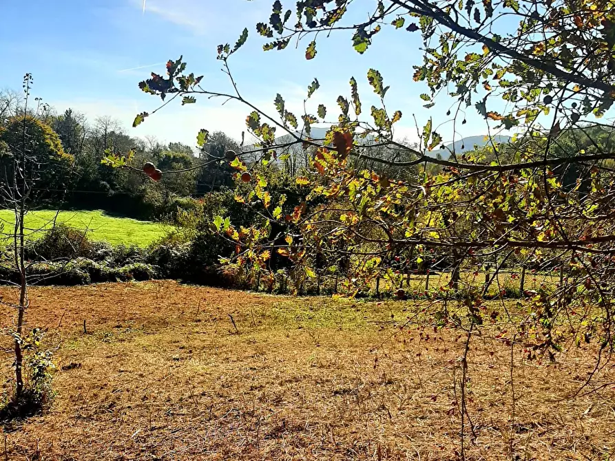Immagine 3 di Terreno agricolo in vendita  in via prenestina antica a Fiuggi