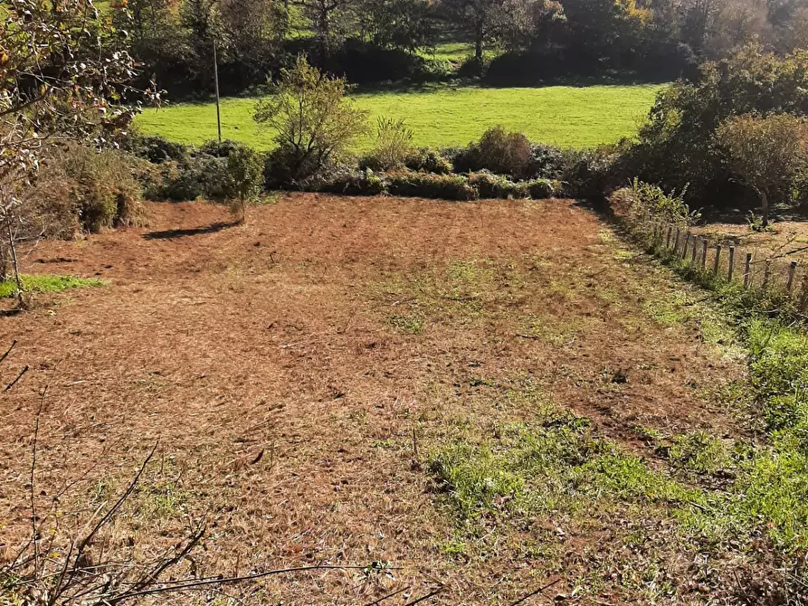 Immagine 4 di Terreno agricolo in vendita  in via prenestina antica a Fiuggi
