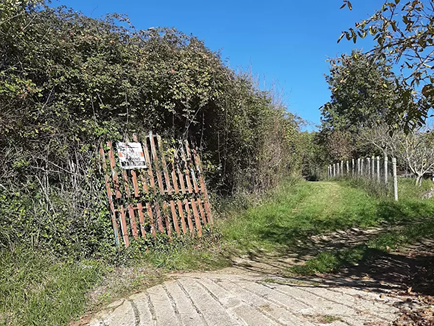 Immagine 5 di Terreno agricolo in vendita  in via prenestina antica a Fiuggi