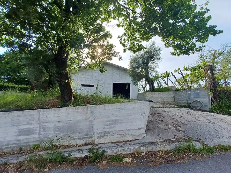 Immagine 1 di Capannone industriale in vendita  in Via Castello a Ripi