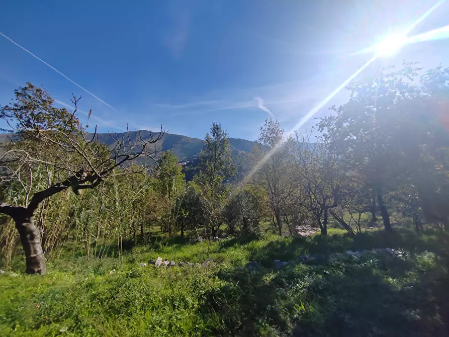 Immagine 22 di Casa indipendente in vendita  in Contrada Vignali a Arnara