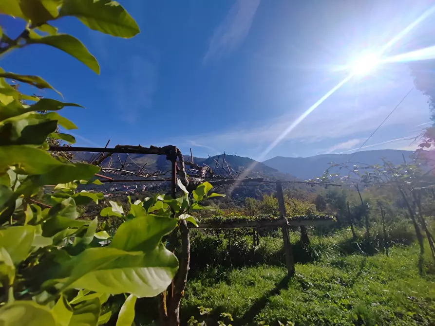 Immagine 29 di Casa indipendente in vendita  in Contrada Vignali a Arnara
