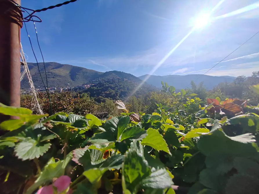 Immagine 30 di Casa indipendente in vendita  in Contrada Vignali a Arnara
