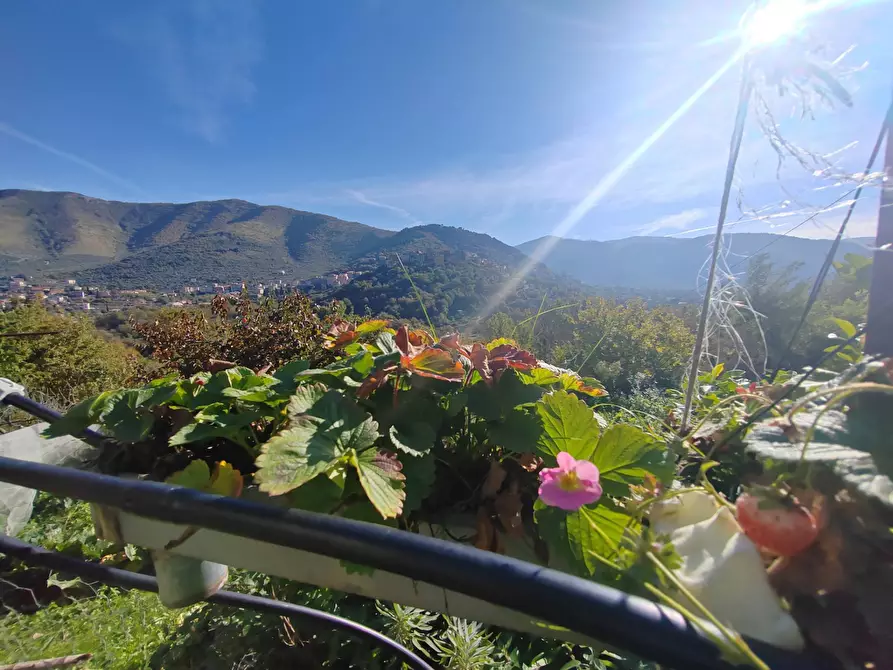 Immagine 31 di Casa indipendente in vendita  in Contrada Vignali a Arnara