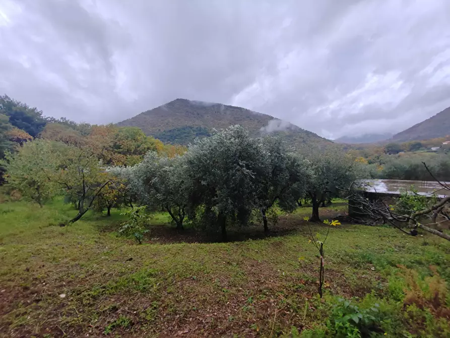 Immagine 1 di Terreno agricolo in vendita  in Contrada Acquamora a Bassiano