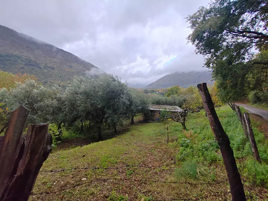 Immagine 3 di Terreno agricolo in vendita  in Contrada Acquamora a Bassiano