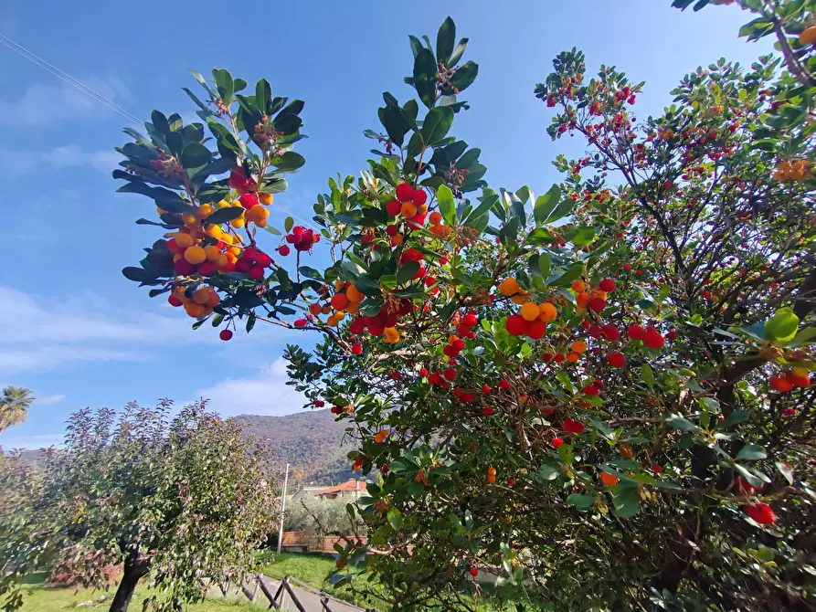 Immagine 35 di Villa in vendita  in Via Monte Acuto 41 a Bassiano