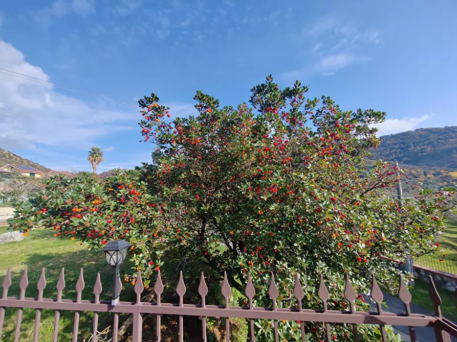 Immagine 47 di Villa in vendita  in Via Monte Acuto 41 a Bassiano