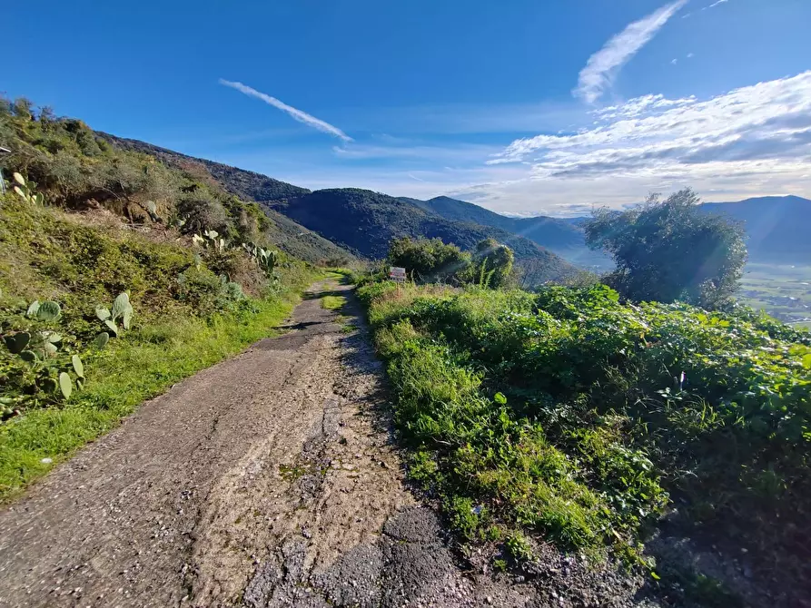 Immagine 2 di Locale commerciale in vendita  in Via Del Colle a Bassiano