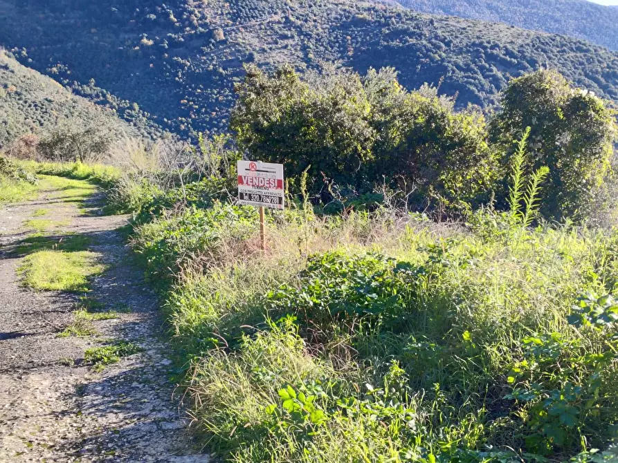 Immagine 3 di Locale commerciale in vendita  in Via Del Colle a Bassiano