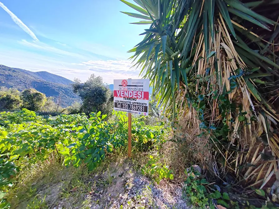 Immagine 4 di Locale commerciale in vendita  in Via Del Colle a Bassiano