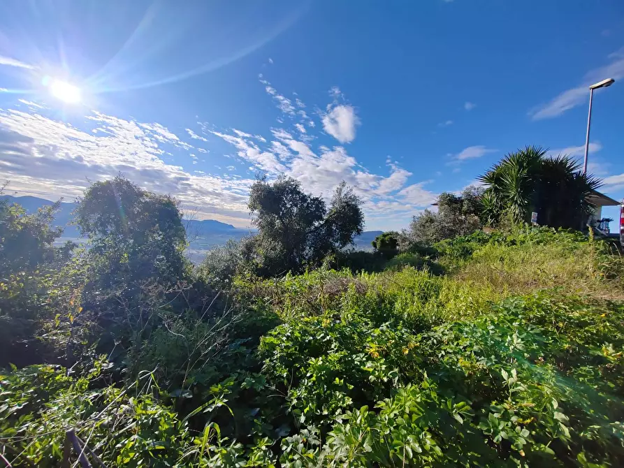 Immagine 5 di Locale commerciale in vendita  in Via Del Colle a Bassiano