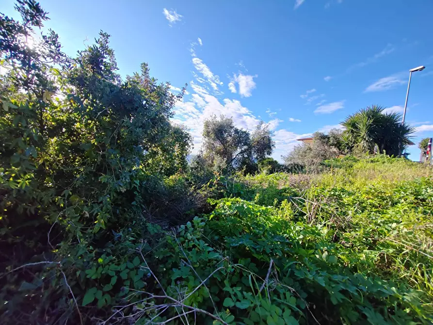 Immagine 9 di Locale commerciale in vendita  in Via Del Colle a Bassiano