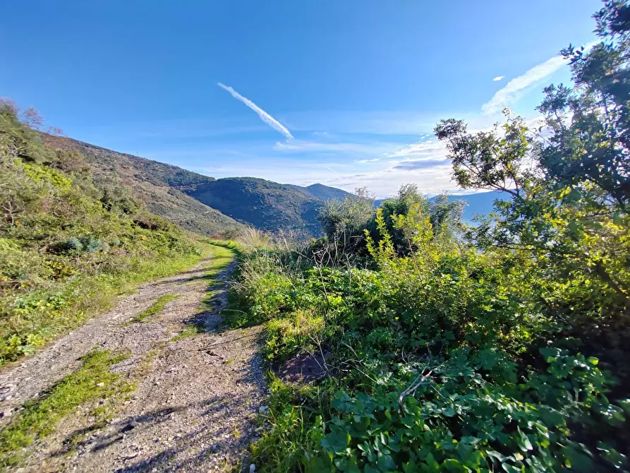 Immagine 10 di Locale commerciale in vendita  in Via Del Colle a Bassiano