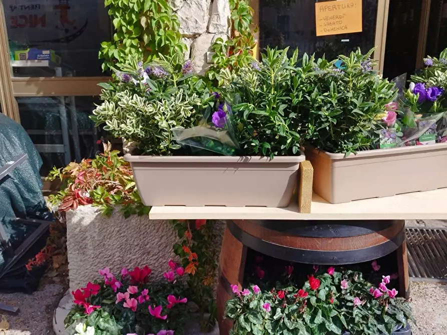 Immagine 14 di Attività commerciale in vendita  in via Roma 54 a Alfedena