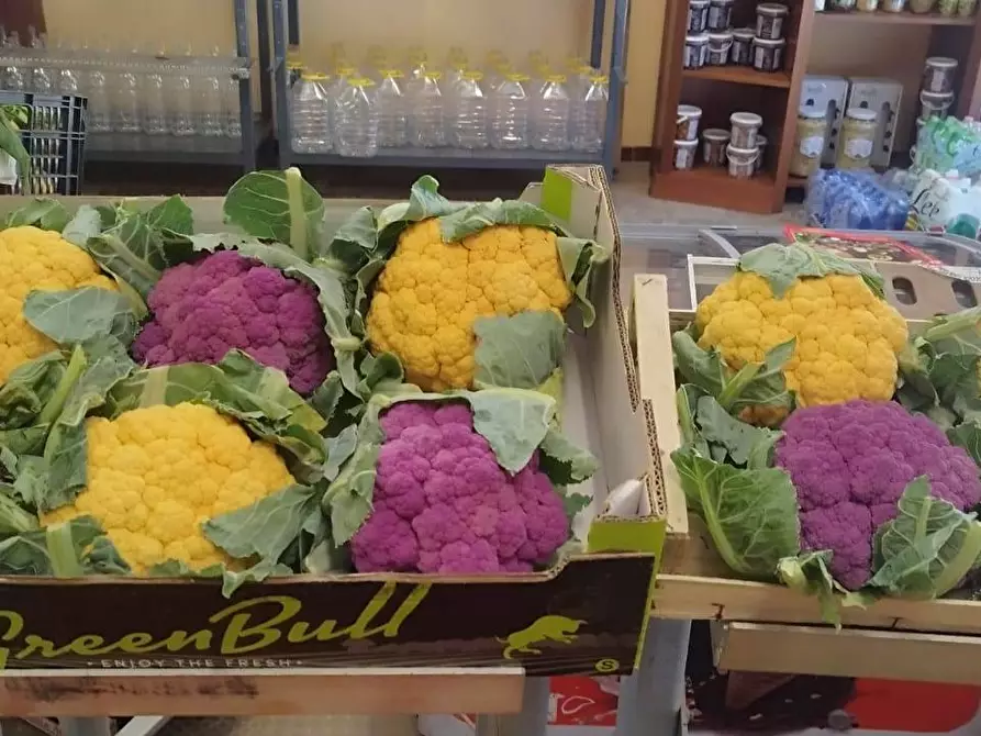 Immagine 16 di Attività commerciale in vendita  in via Roma 54 a Alfedena