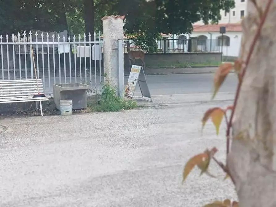 Immagine 23 di Attività commerciale in vendita  in via Roma 54 a Alfedena