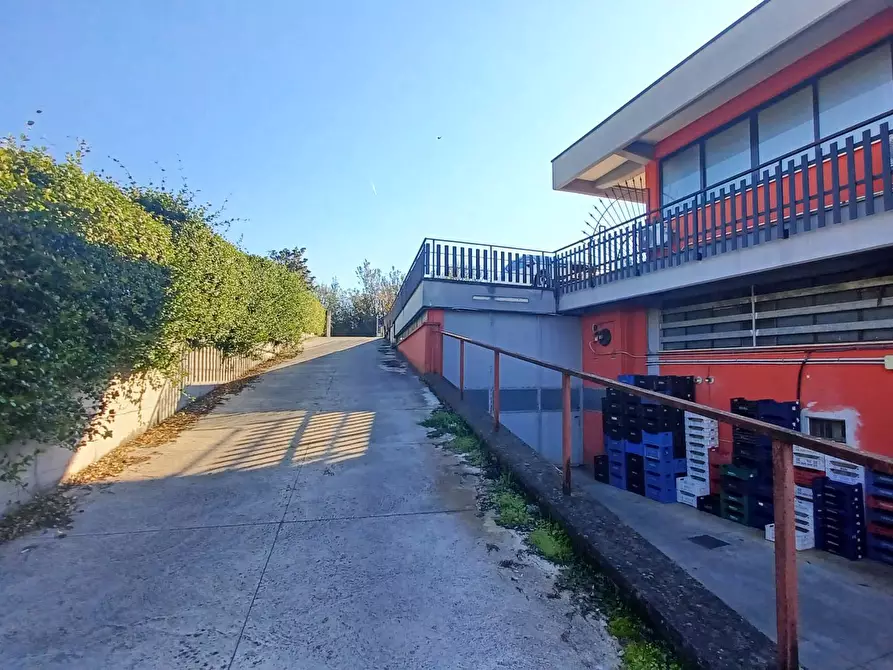Immagine 21 di Locale commerciale in vendita  in viale Fabrateria Vetus a Ceccano