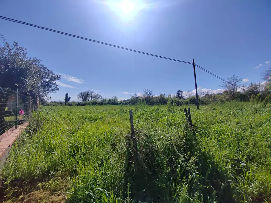 Immagine 1 di Terreno agricolo in vendita  in Via Madonna i Martiri a Bassiano