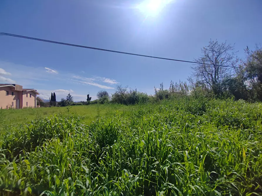 Immagine 2 di Terreno agricolo in vendita  in Via Madonna i Martiri a Bassiano