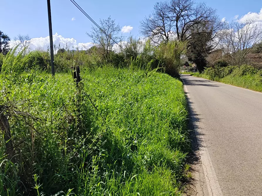 Immagine 3 di Terreno agricolo in vendita  in Via Madonna i Martiri a Bassiano
