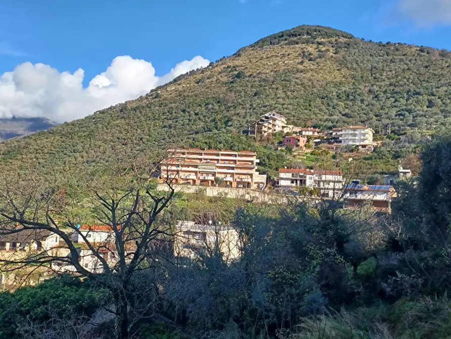 Immagine 3 di Locale commerciale in vendita  in Viale San Rocco a Bassiano