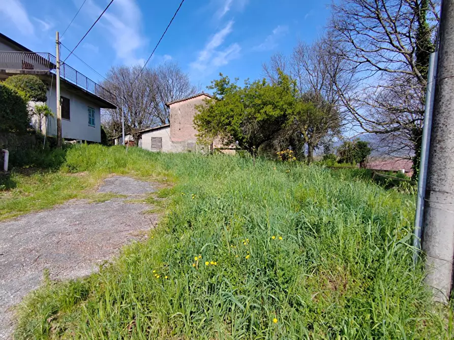 Immagine 3 di Casa indipendente in vendita  in località S.Angelo a Amaseno