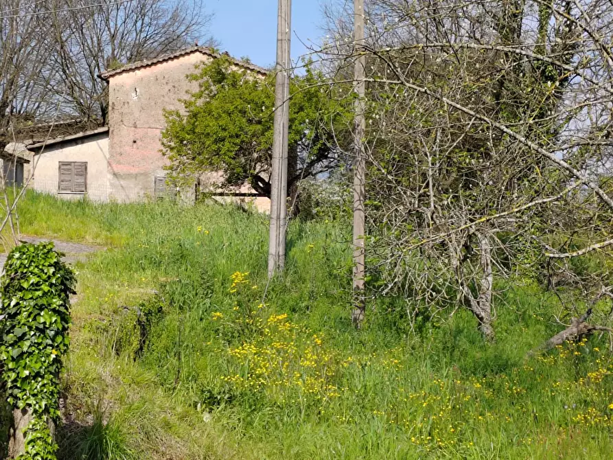 Immagine 4 di Casa indipendente in vendita  in località S.Angelo a Amaseno