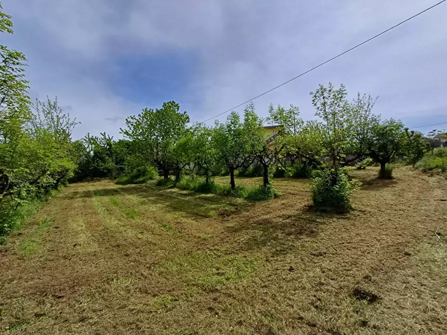terreno agricolo in vendita a Fiuggi