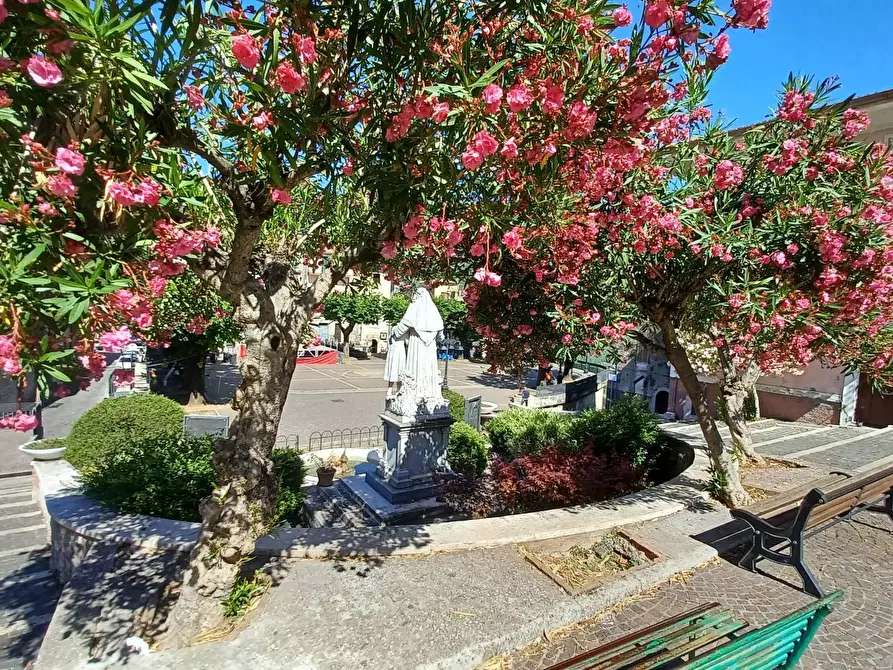 Immagine 18 di Appartamento in vendita  in Via Roma 53 a Arnara