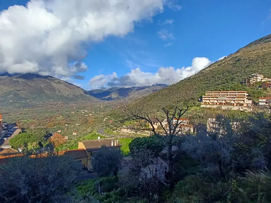 Immagine 4 di Locale commerciale in vendita  a Bassiano