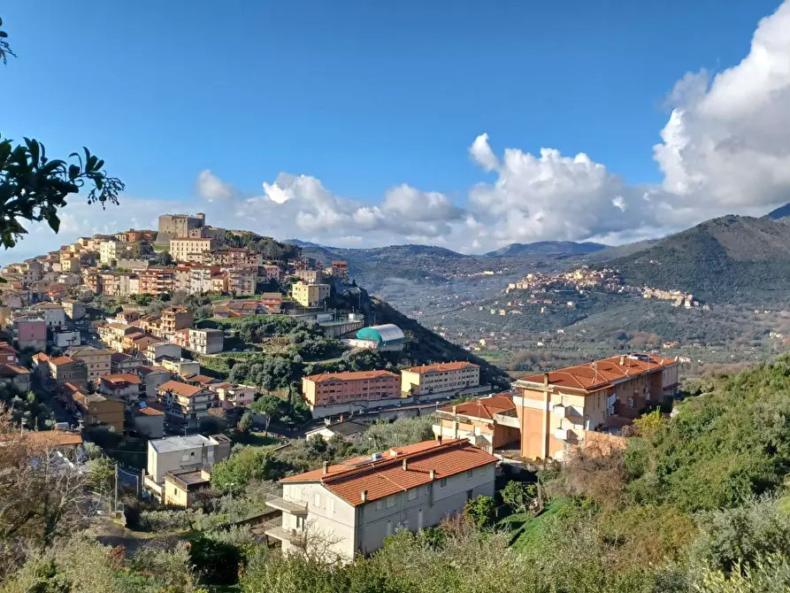 Immagine 5 di Locale commerciale in vendita  a Bassiano