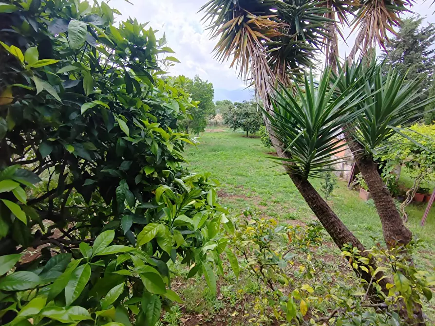 Immagine 73 di Villa in vendita  in Via Anime Sante 1 a Bassiano