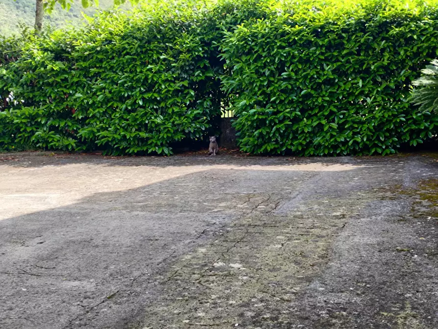 Immagine 82 di Villa in vendita  in Via Anime Sante 1 a Bassiano